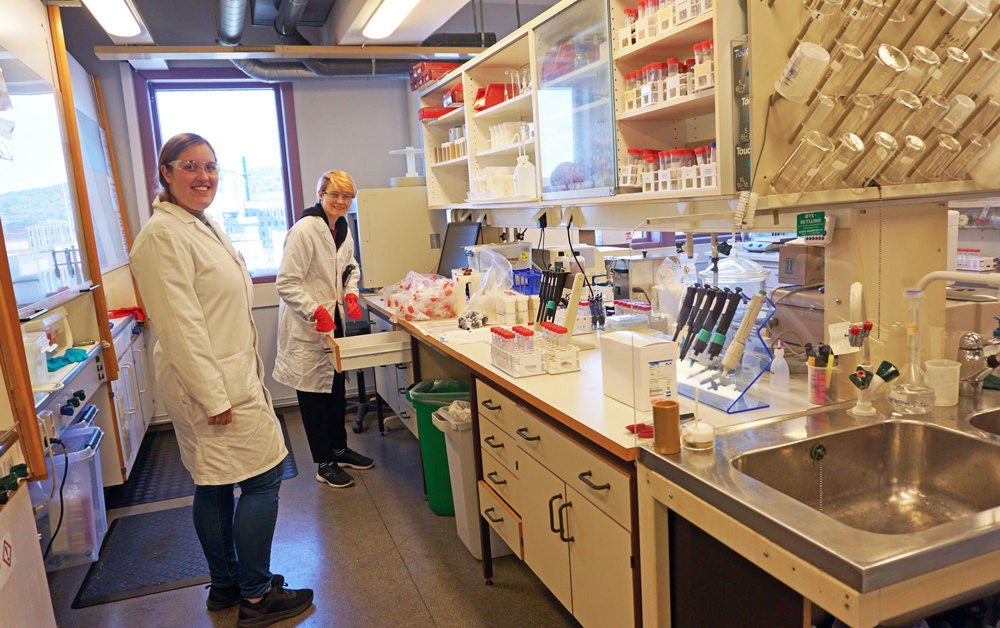 two women in a lab, white work tops and glass cupboards, sink and a lot of lab equipment